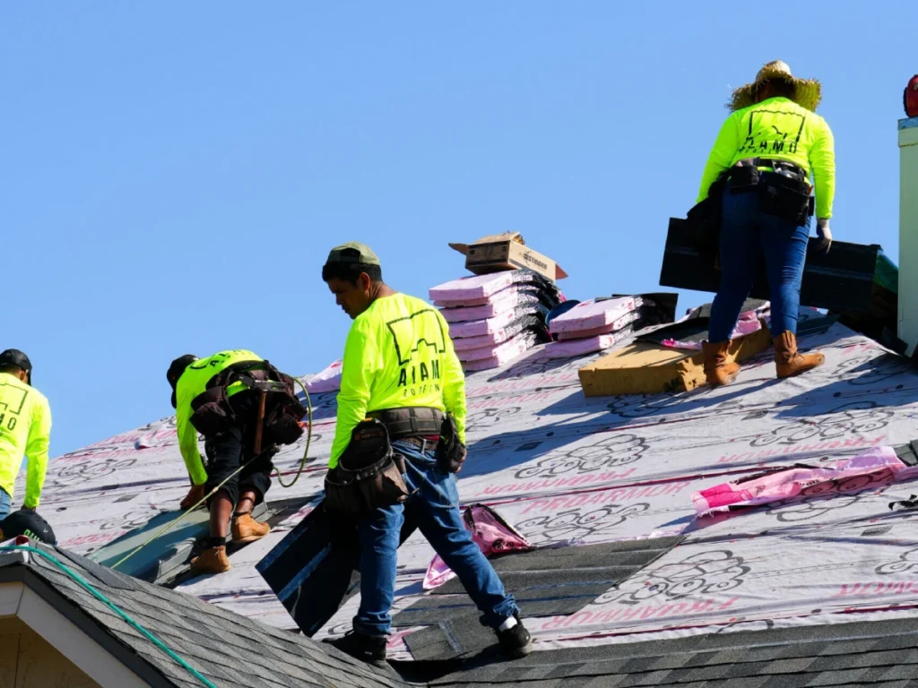 DSC00639-scaled-e1734575770847