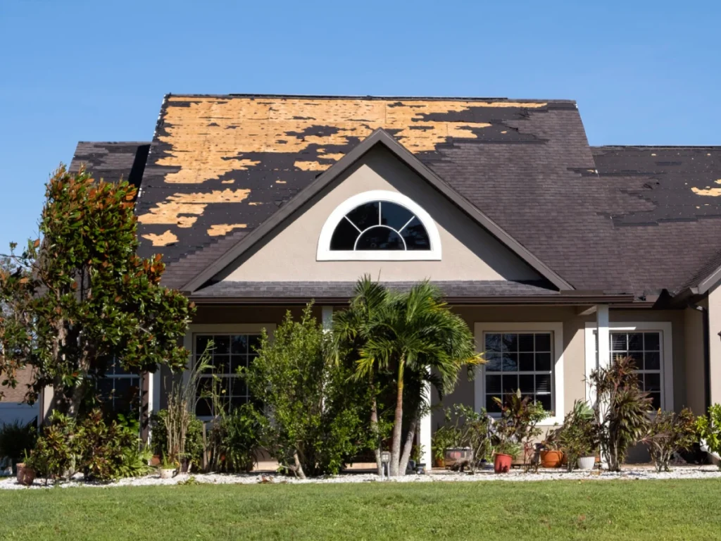 consequences-of-natural-disaster-2024-12-07-03-39-48-utc-1536x1024